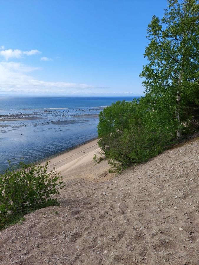 La Nef Bleue Villa Tadoussac Luaran gambar